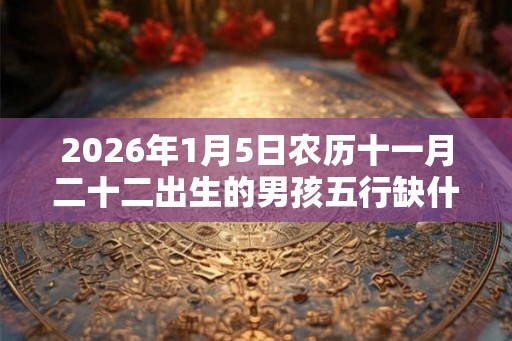 2026年1月5日农历十一月二十二出生的男孩五行缺什么 2026年1月5日农历十一月二十二出生的男孩五行缺什么