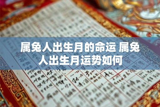 属兔人出生月的命运 属兔人出生月运势如何