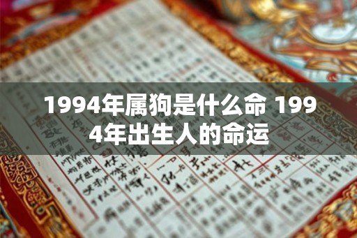 1994年属狗是什么命 1994年出生人的命运