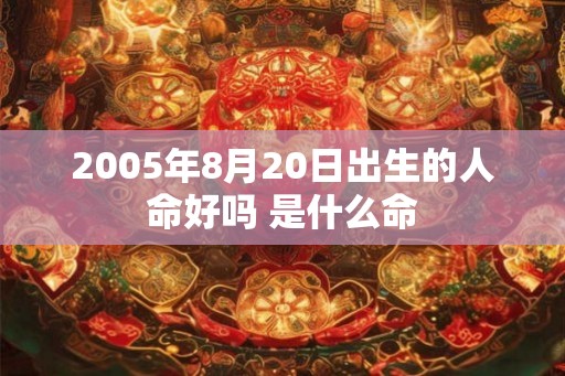 2005年8月20日出生的人命好吗 是什么命
