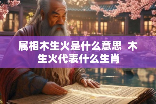 属相木生火是什么意思  木生火代表什么生肖