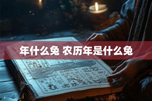年什么兔 农历年是什么兔