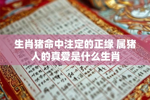 生肖猪命中注定的正缘 属猪人的真爱是什么生肖