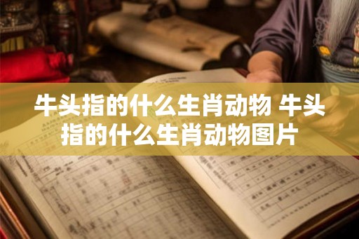 牛头指的什么生肖动物 牛头指的什么生肖动物图片