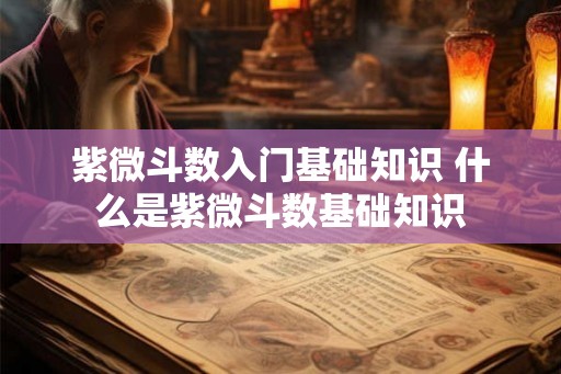 紫微斗数入门基础知识 什么是紫微斗数基础知识