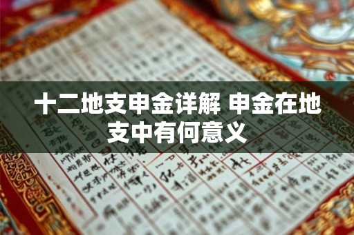 十二地支申金详解 申金在地支中有何意义