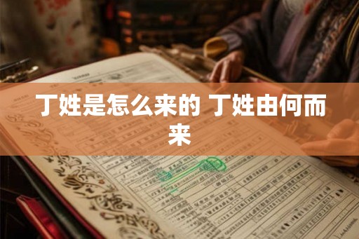 丁姓是怎么来的 丁姓由何而来