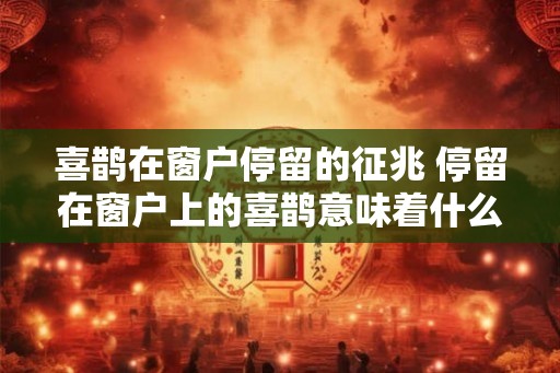 喜鹊在窗户停留的征兆 停留在窗户上的喜鹊意味着什么 喜鹊在窗户停留的征兆 停留在窗户上的喜鹊意味着什么