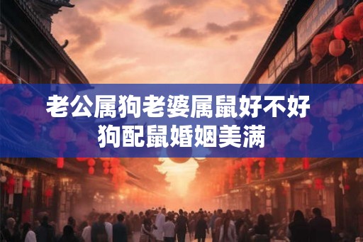 老公属狗老婆属鼠好不好 狗配鼠婚姻美满