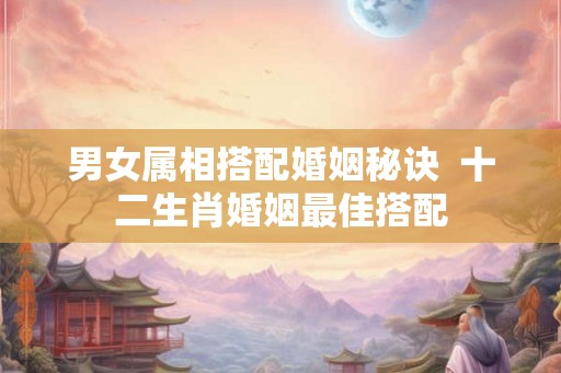 男女属相搭配婚姻秘诀  十二生肖婚姻最佳搭配