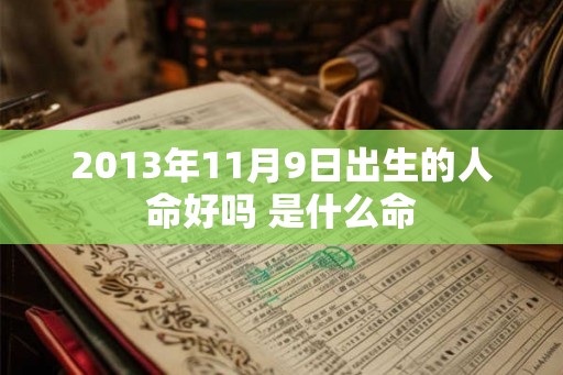 2013年11月9日出生的人命好吗 是什么命
