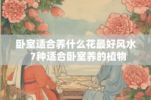 卧室适合养什么花最好风水  7种适合卧室养的植物