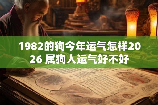 1982的狗今年运气怎样2026 属狗人运气好不好
