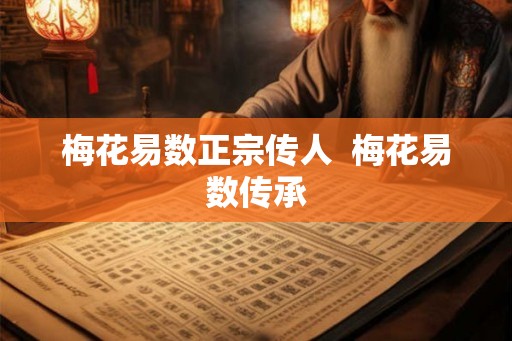 梅花易数正宗传人  梅花易数传承