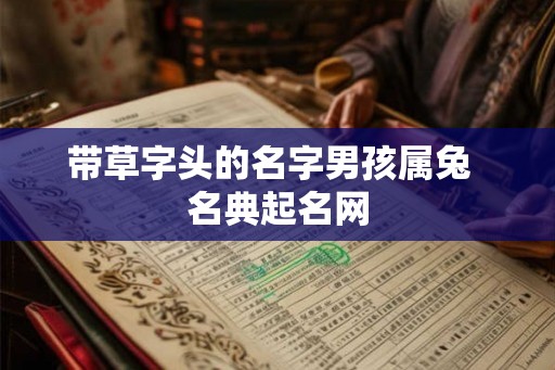 带草字头的名字男孩属兔  名典起名网