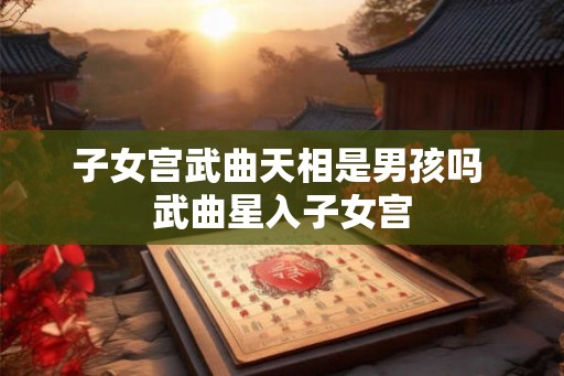 子女宫武曲天相是男孩吗 武曲星入子女宫 子女宫武曲天相是男孩吗 武曲星入子女宫