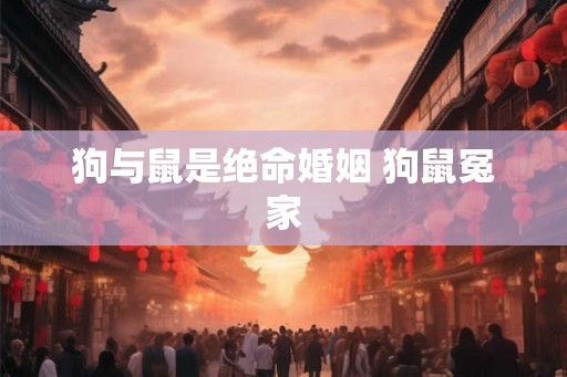 狗与鼠是绝命婚姻 狗鼠冤家
