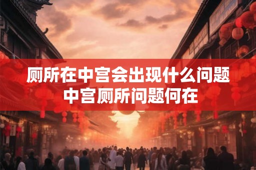 厕所在中宫会出现什么问题 中宫厕所问题何在