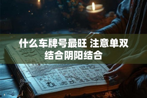什么车牌号最旺 注意单双结合阴阳结合