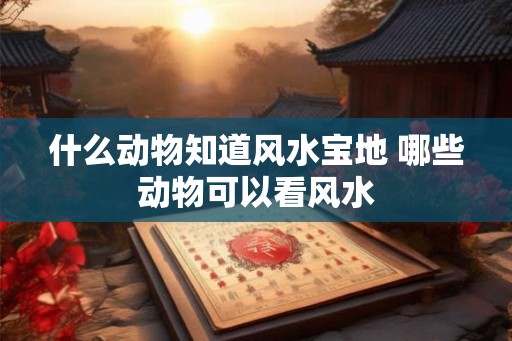 什么动物知道风水宝地 哪些动物可以看风水