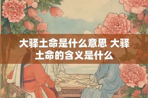 大驿土命是什么意思 大驿土命的含义是什么 大驿土命是什么意思 大驿土命的含义是什么