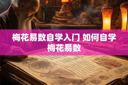 梅花易数自学入门 如何自学梅花易数