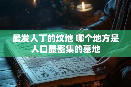 最发人丁的坟地 哪个地方是人口最密集的墓地