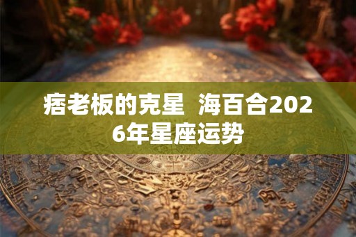 痞老板的克星  海百合2026年星座运势