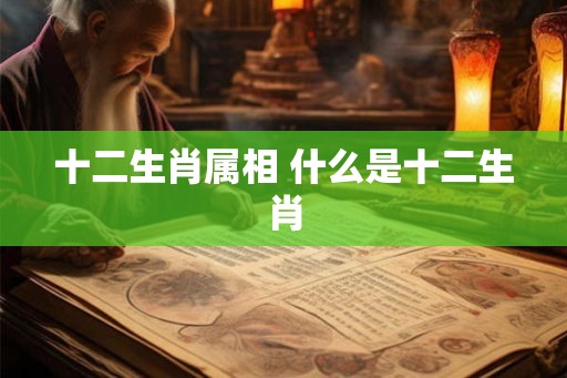 十二生肖属相 什么是十二生肖
