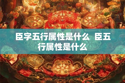 臣字五行属性是什么  臣五行属性是什么