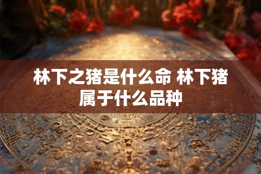 林下之猪是什么命 林下猪属于什么品种