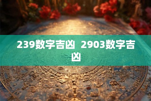 239数字吉凶  2903数字吉凶