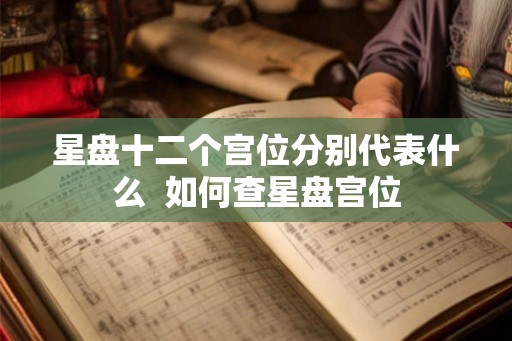 星盘十二个宫位分别代表什么  如何查星盘宫位