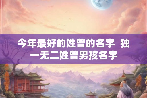 今年最好的姓曾的名字  独一无二姓曾男孩名字