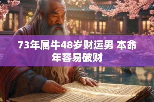73年属牛48岁财运男 本命年容易破财