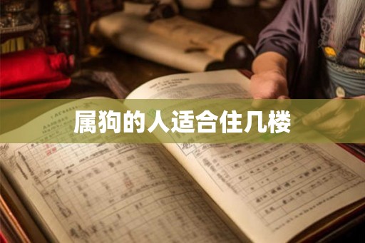 属狗的人适合住几楼
