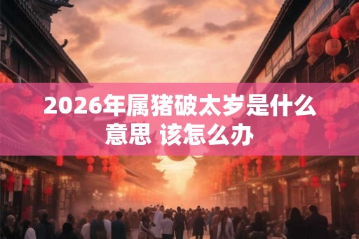 2026年属猪破太岁是什么意思 该怎么办 2026年属猪破太岁是什么意思 该怎么办