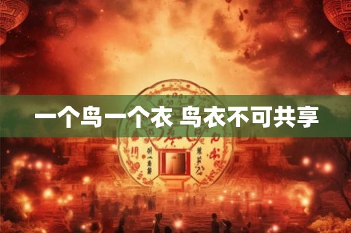 一个鸟一个衣 鸟衣不可共享 一个鸟一个衣 鸟衣不可共享