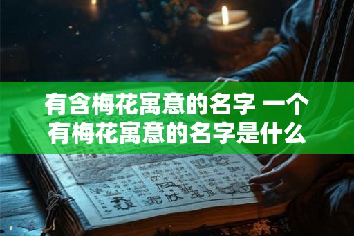 有含梅花寓意的名字 一个有梅花寓意的名字是什么