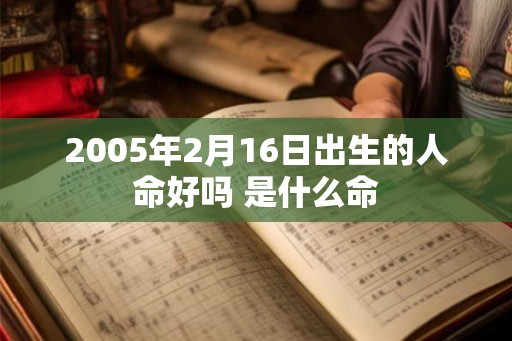 2005年2月16日出生的人命好吗 是什么命
