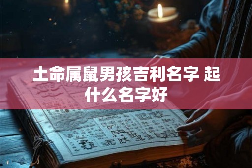 土命属鼠男孩吉利名字 起什么名字好