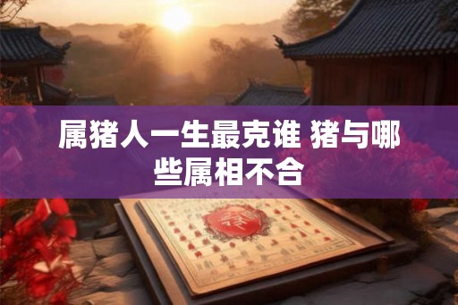 属猪人一生最克谁 猪与哪些属相不合