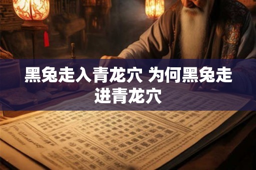 黑兔走入青龙穴 为何黑兔走进青龙穴