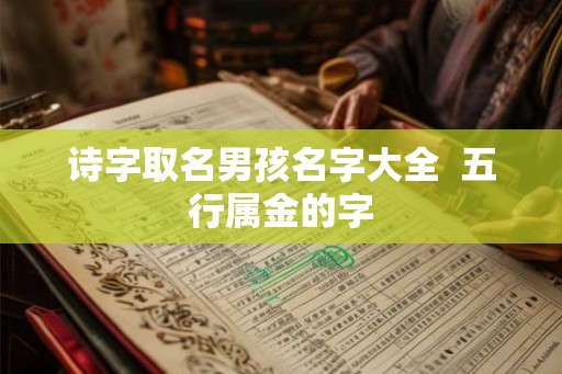诗字取名男孩名字大全  五行属金的字