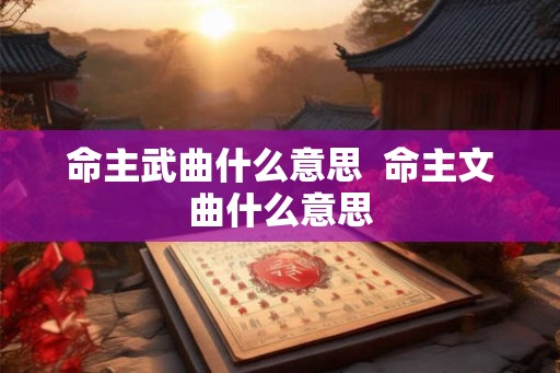 命主武曲什么意思  命主文曲什么意思