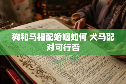 狗和马相配婚姻如何 犬马配对可行否