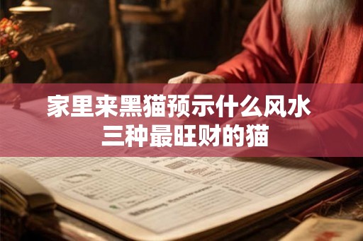 家里来黑猫预示什么风水  三种最旺财的猫