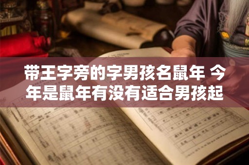 带王字旁的字男孩名鼠年 今年是鼠年有没有适合男孩起名的带王字旁的字