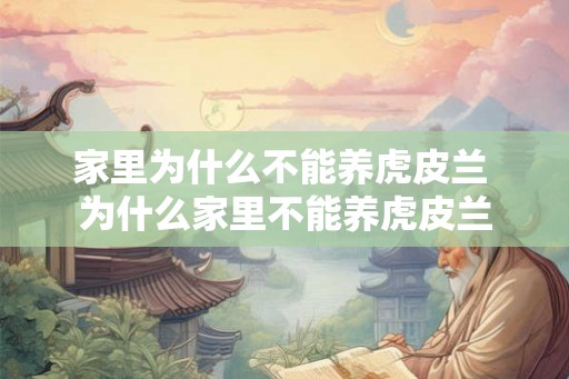 家里为什么不能养虎皮兰 为什么家里不能养虎皮兰