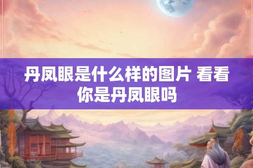 丹凤眼是什么样的图片 看看你是丹凤眼吗